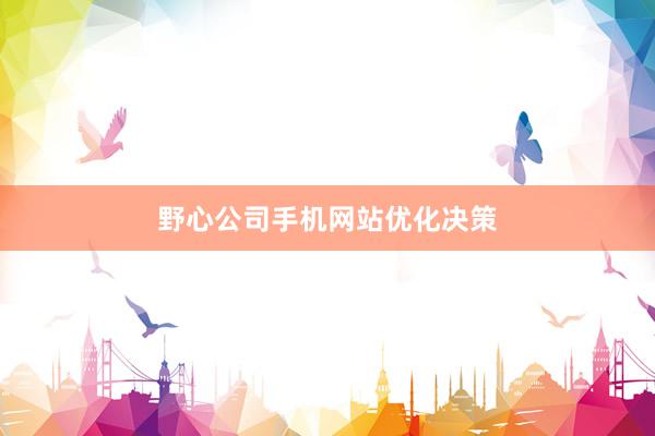 野心公司手机网站优化决策