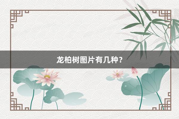 龙柏树图片有几种？