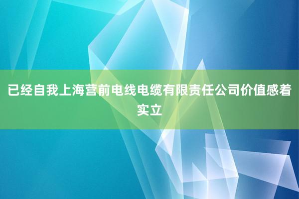 已经自我上海营前电线电缆有限责任公司价值感着实立